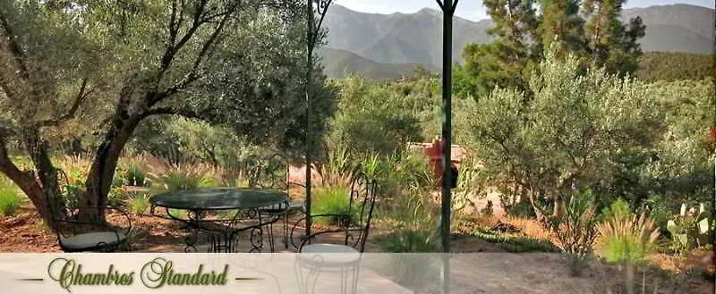 Hotel L'Oliveraie De Marigha Ouirgane